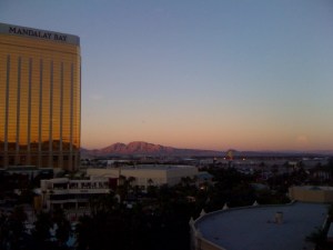 Mandalay Bay View 1