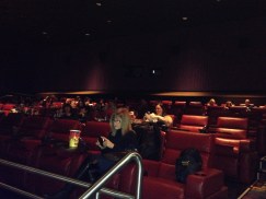 Leather Reclining Seats