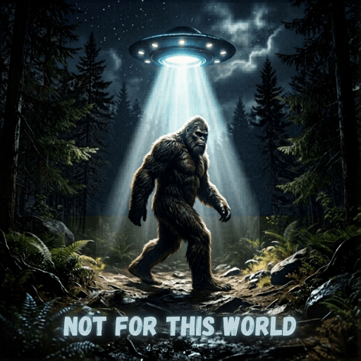 On June 11th, 2026, I launched an online business with Etsy. It's called Not For This World Store. Click the image below and it will take you there directly. The store is full of fun, other worldly things such as UFOs, aliens and Bigfoot on tee shirts and mugs, etc.